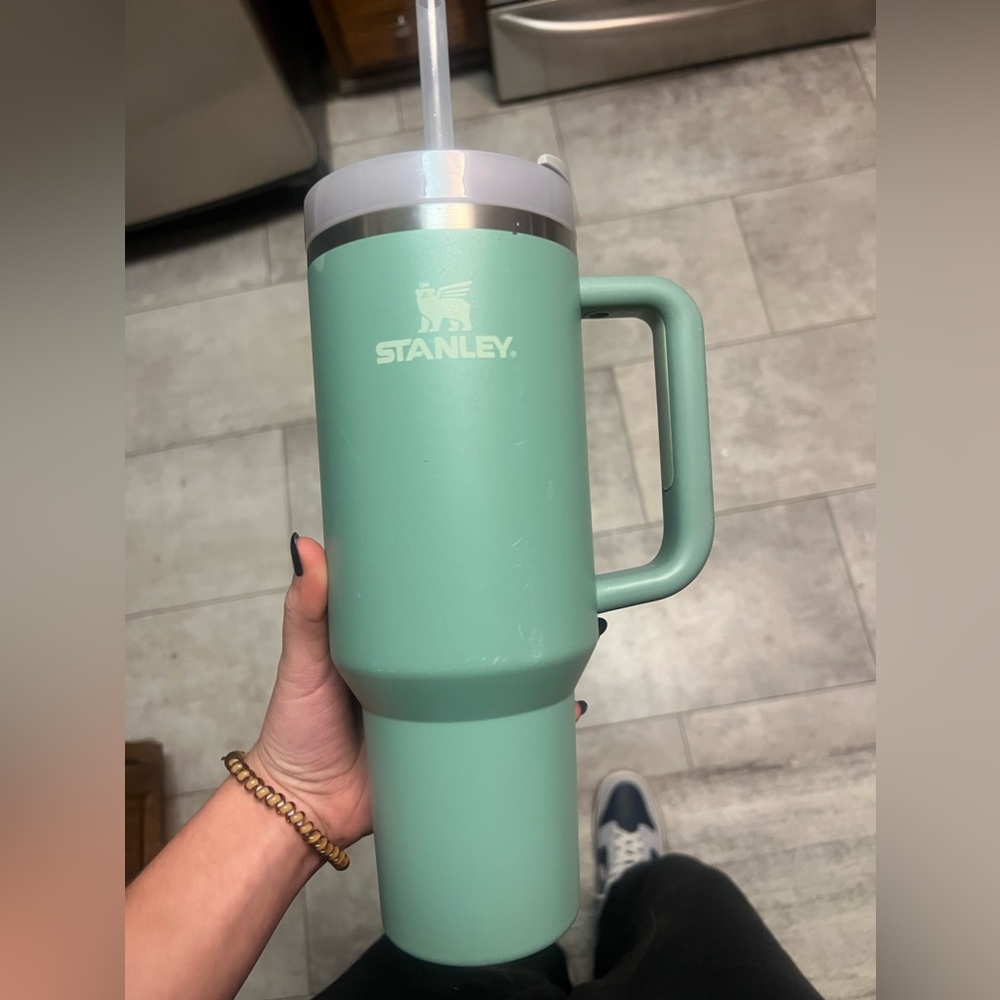 stanley cup 40oz sage green